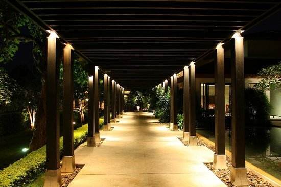 东莞洗脚服务区分布指南